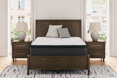Diamond Furniture - Ashley Furniture - Limited Edition PT Queen Mattress - Queen - M41231
