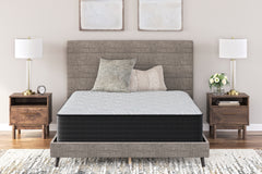 Diamond Furniture - Ashley Furniture - Palisades Plush Full Mattress - Full - M41621