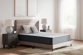 Diamond Furniture - Ashley Furniture - Anniversary Edition Plush Queen Mattress - Queen - M42131
