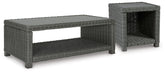 Diamond Furniture - Ashley Furniture - Elite Park Outdoor Coffee Table and End Table - Outdoor Coffee Table and End Table - P518P8