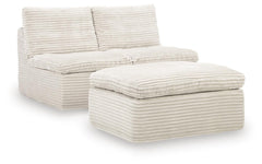 Diamond Furniture - Ashley Furniture - Fannin Armless Chair with Ottoman - 2 Armless Chairs w/Otto (3/CN) - PC8430431
