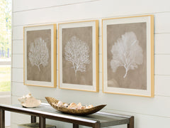Diamond Furniture - Ashley Furniture - Hendridge Wall Decor - Wall Art Set (3/CN) / Taupe/White - A8000486
