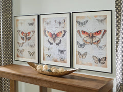Diamond Furniture - Ashley Furniture - Jossletts Wall Decor - Wall Art Set (3/CN) / Orange/Black/Ivory - A8000490