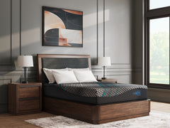 Diamond Furniture - Ashley Furniture - Millennium 2.0 Foam 12 Inch Mattresses - Twin XL / Black - M31171