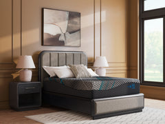 Diamond Furniture - Ashley Furniture - Millennium 2.0 Hybrid 14 Inch Mattresses - Twin XL / Black - M31471