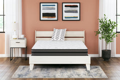 Diamond Furniture - Ashley Furniture - 10 Inch Pocketed Hybrid Mattresses - California King / White - M58951