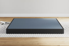 Diamond Furniture - Ashley Furniture - Low Profile Queen Foundation - Queen Foundation / Black - M78X32
