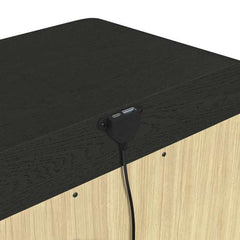 2-Drawer Nightstand with USB in Black with Grain